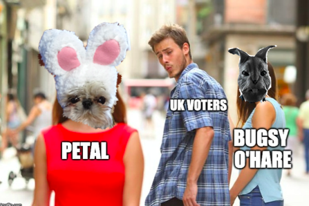 PetalFor's tweet photo. You know it makes sense...
#petalforeasterbunny #BewareOHare #HareTodayGoneTomorrow #easterbunny #easter #BarkforChange #BacktheUnderdog https://t.co/1ySOA7SFDS