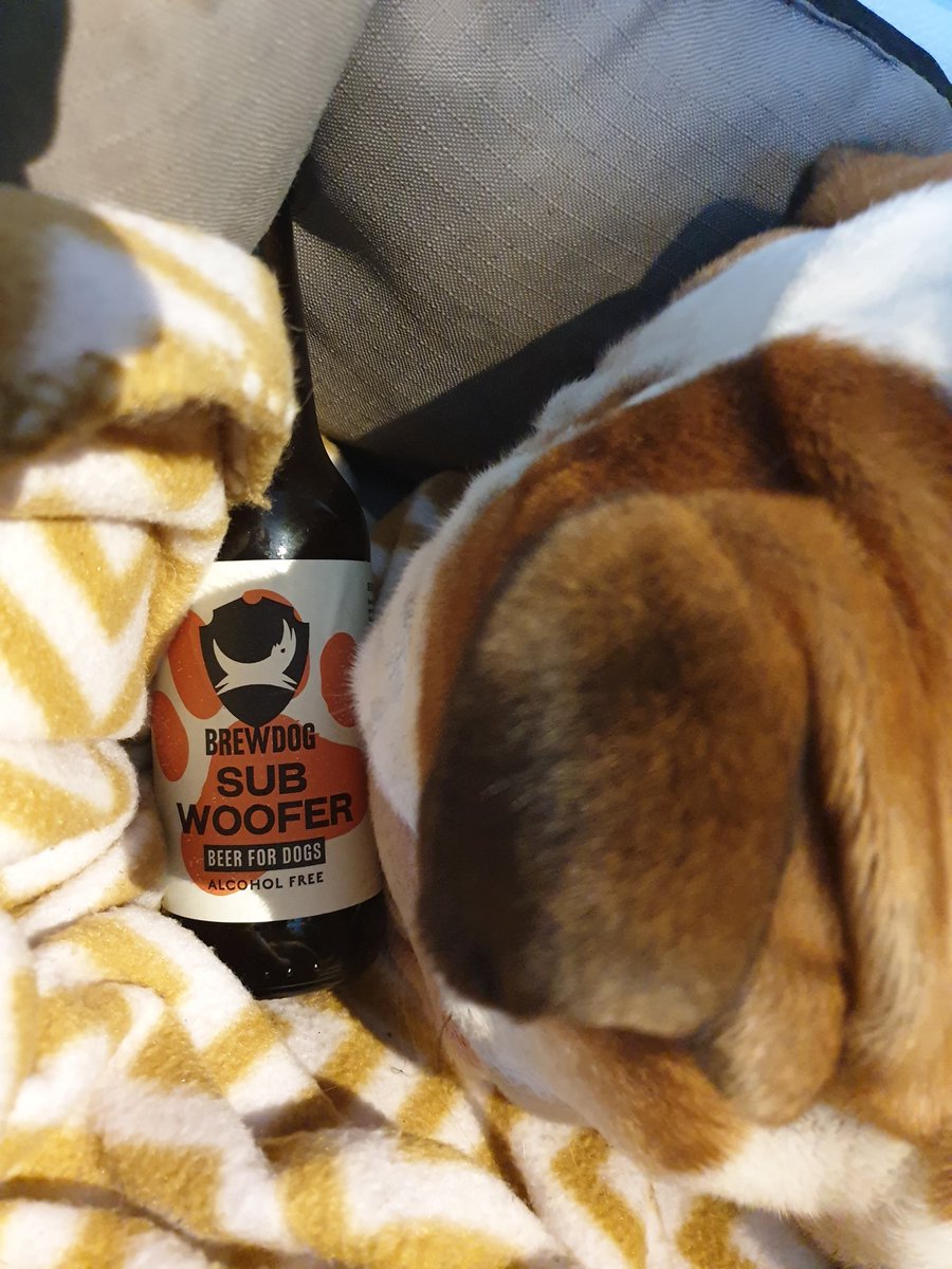BeerGoblet's tweet photo. BrewDog Subwoofer IPA (craft beer for dogs) - naš security, ujedno i pseći beer somelier Fedor je ovo bezalkoholno, negazirano pivo za pse s okusom govedine ocijenio ocjenom: daj još..❤🐶❤🍻🍻🍻
#pivozapse
#beerfordogs
#subwoofer
#brewdog
#lovemydog
#dogbeer https://t.co/bf8h2vvJHe