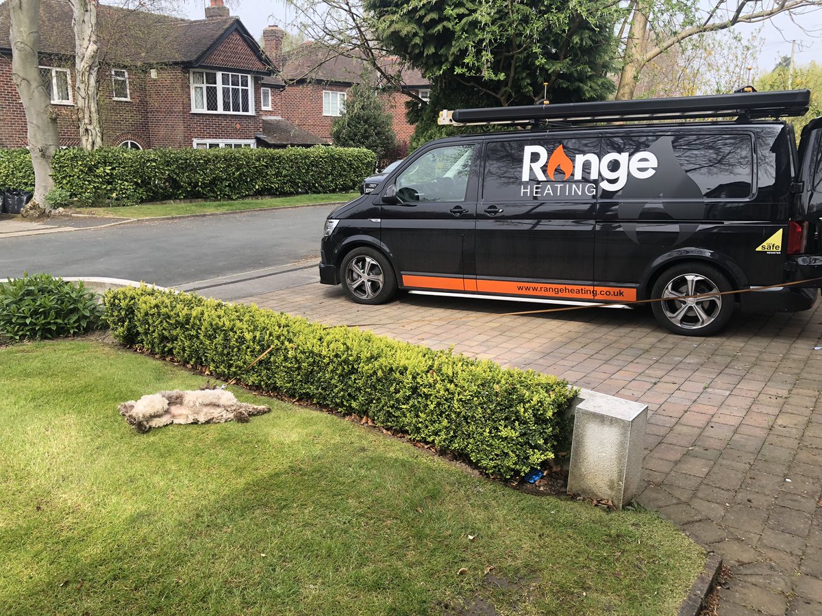 RangeHeating's tweet photo. It’s hard work this plumbing game! 🐶 🔧
#HeatingEngineer #Plumber #Plumbing #PlumbersDog #Dog #Wilmslow https://t.co/96IYvBdlk0