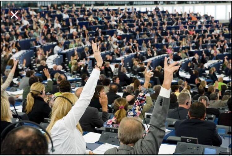 EricAndrieuEU's tweet photo. #PerturbateursEndocriniens: "Une fois de + la @EU_Commission, sous la pression des #lobbyistes industriels, joue la montre et se refuse à une stricte application du principe de précaution."
👉Retrouvez mon communiqué suite au vote de notre @Europarl_FR : https://t.co/6wEwzJVwMj https://t.co/Mh1sdMcEUS