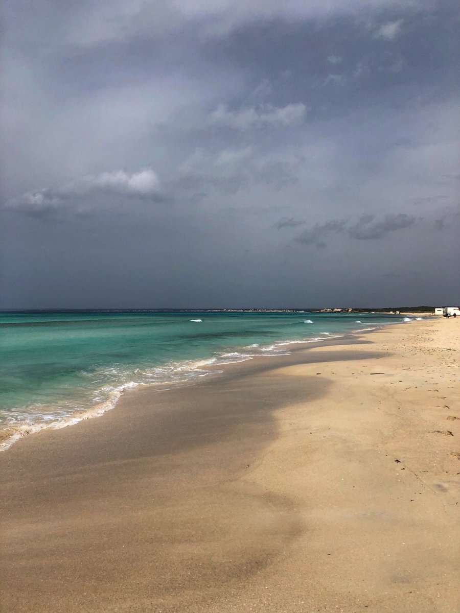 rosataberner's tweet photo. El vent no ens atura. #sandrun #entrenaco #24k #EsTrenc #Mallorca https://t.co/2xi8hqV99l