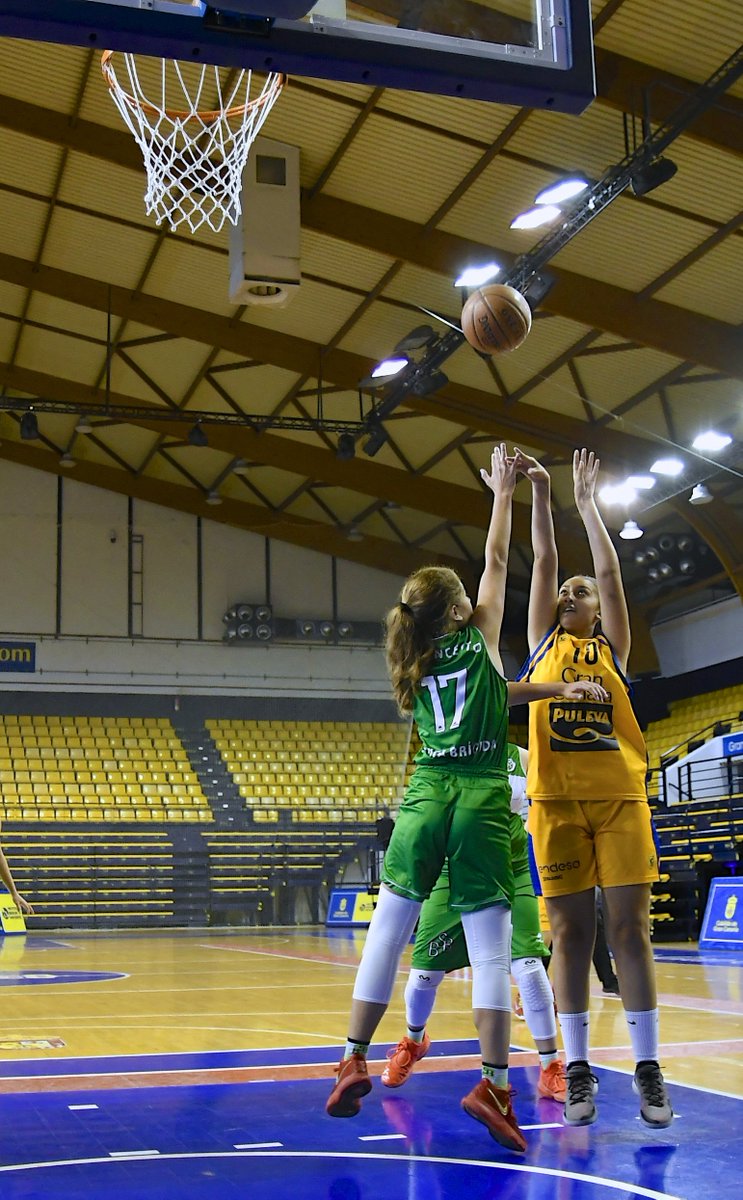 ACBKidsCup's tweet photo. En directo algunos momentos de la mañana de este #Jueves18, ¡CUARTO DÍA DE TORNEO! Momentos en el "Centro insular de Deportes" #ACBKidsCup #IslaEuropeadelDeporte #CabildodeGranCanaria https://t.co/rE5Jh1RB86