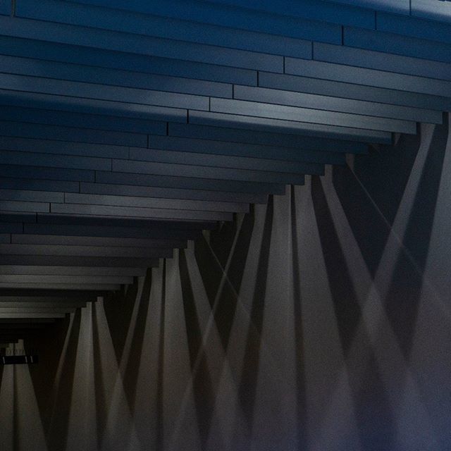 AkiWaschner's tweet photo. light 
#photography #architecture #tbt #love https://t.co/iUTZrvdK8c https://t.co/btNY1ye5su