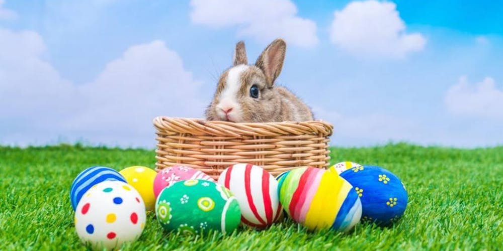 Works for Us tweet media