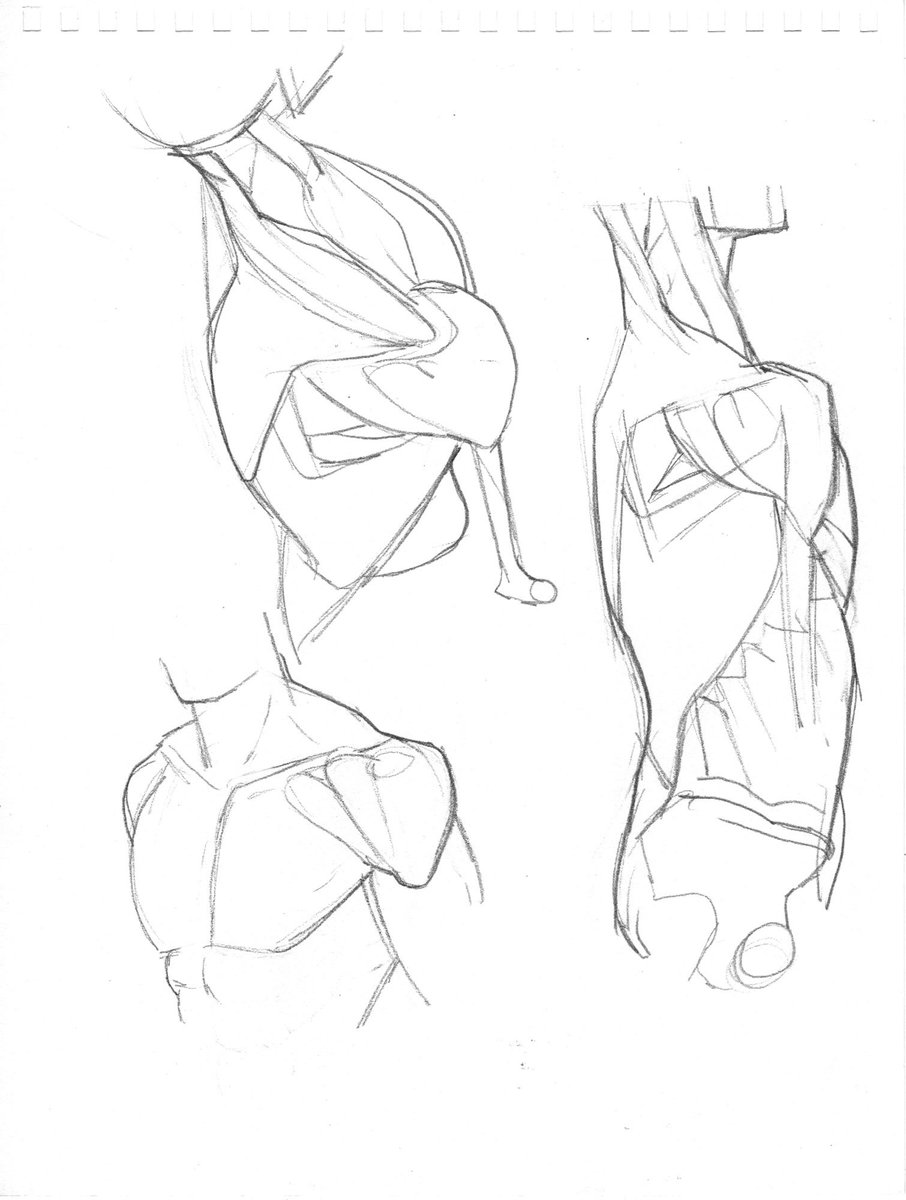 Download Drawing Anatomy Pdf