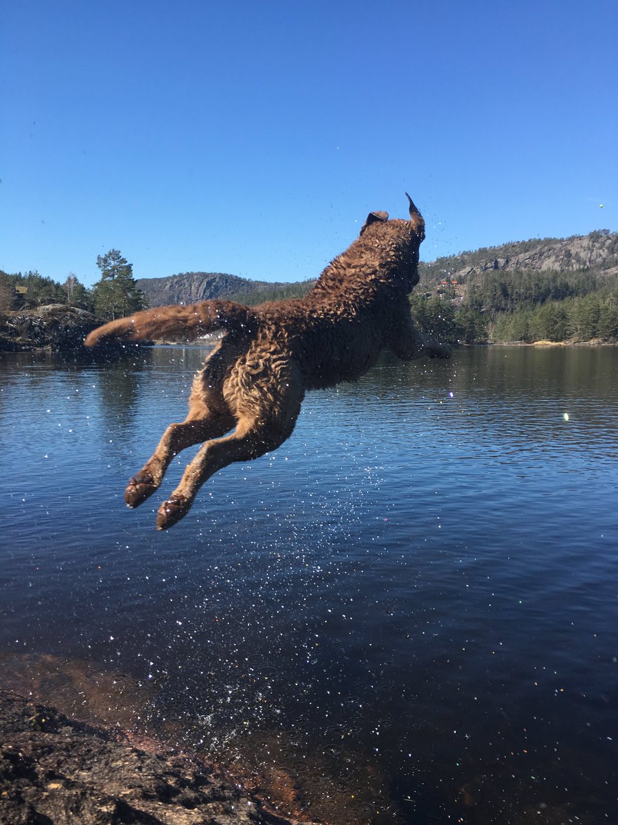 JahrenLabLab's tweet image. this is easy