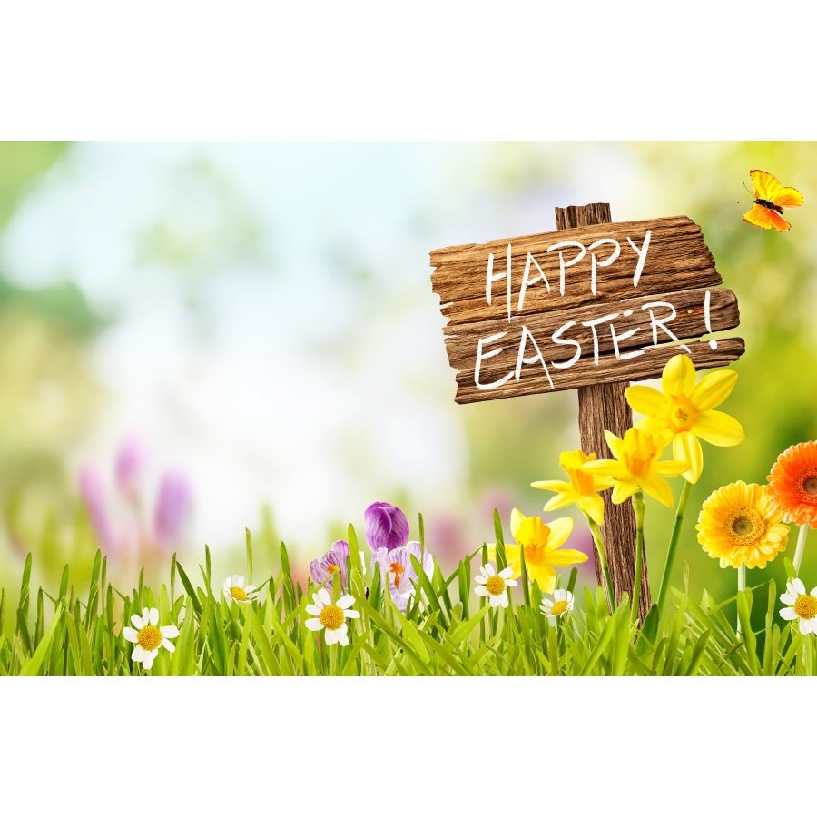 BlecherCom's tweet photo. Happy Easter ! 🐰🐰 #2019 #cutting #saw #sawblade #circularsawblade #blade #cutting #excellence #german #madeingermany #tct #hot #friction #coldcut #hotcut #frictioncut #logsaw #logsawblade #blecher.com #steel #paper #hygienicpaper #tissue #remscheid #nrw https://t.co/gyNqySUMsW