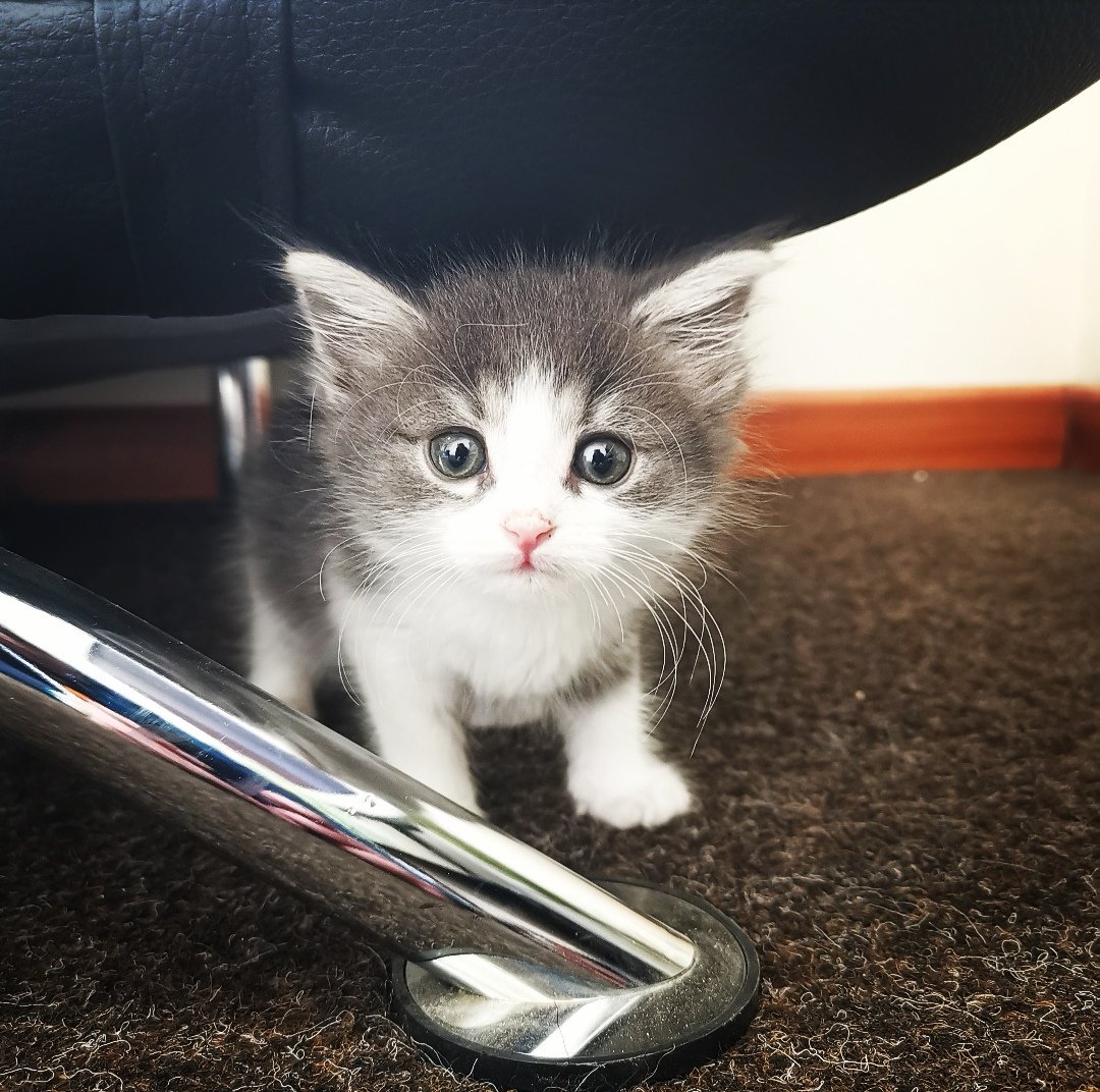 getyouonline.co.uk tweet media