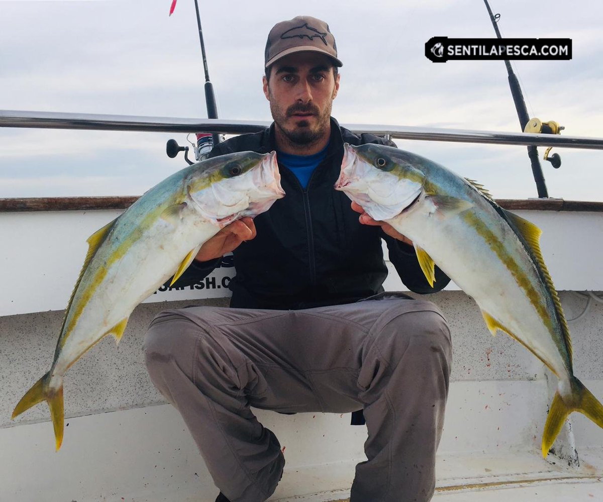 Sentilapesca's tweet photo. INFORMES | Seguimos a full con las salidas exclusivas a #limon, #anchoa y #bonito, con muy buenos resultados. Las primeras capturas se lograron pasado el mediodía, por eso la #tripulacion decidió volver muy tarde
.
#Aquafish #PescaEmbarcada #MardelPlata #Pescar #SentilaPesca https://t.co/CqN3tE1pgO
