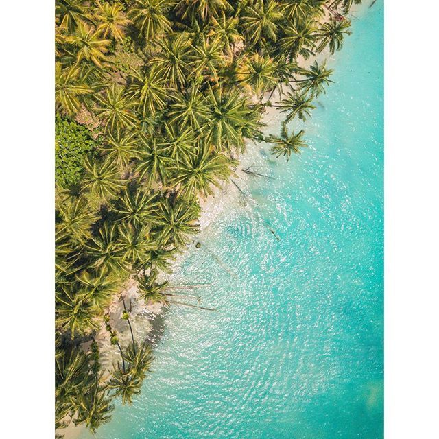 🏝Bocas, Panama 2019.
.
.
🏝Panama, 2018.
Dreaming on sunshine, beaches and dramatic scenery.
.
.
#tbt #photooftheday #summer #travel #panama #beaches #summertime #dji #drone #djimavicpro #aerialphotography #wanderlust bit.ly/2GuheSA