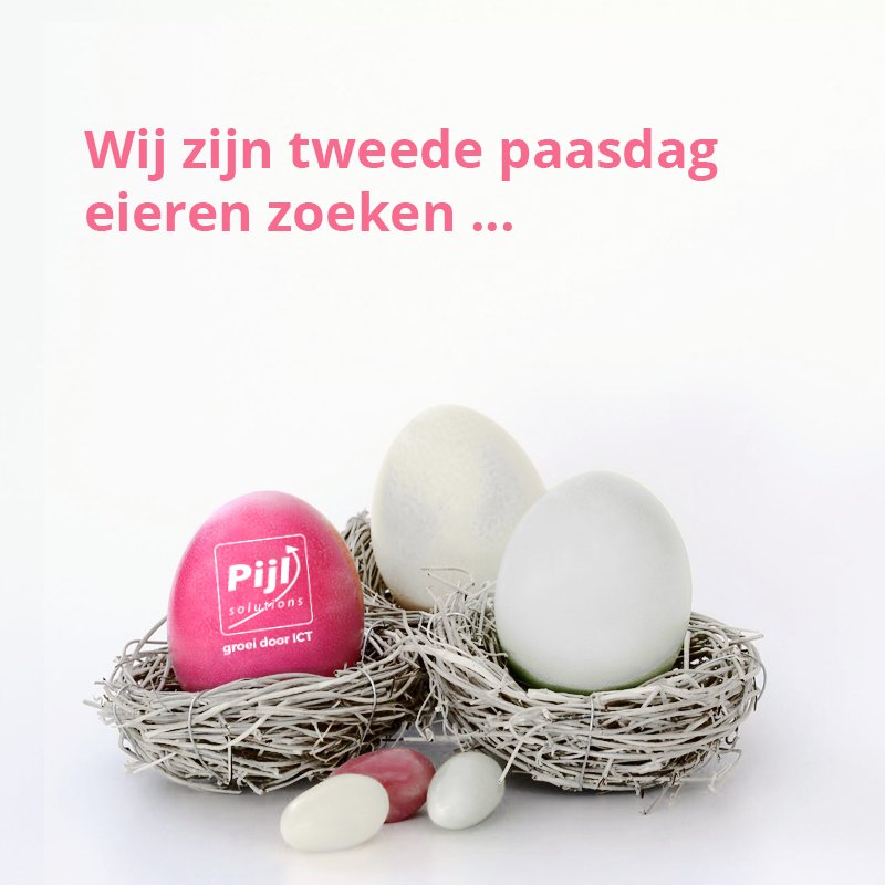 Pijl solutions BV tweet media
