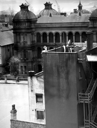 washingtonbrown's tweet photo. Throwing back to 1945 with Corporal Walsh checking out the scenery from the Women's Auxiliary Australian Air Force office in Macquarie Street. What she must have seen in the few years prior to this photo being taken. Brave on so many levels. #LostSydney #FairfaxArchives #tbt https://t.co/3VTljjqfx3