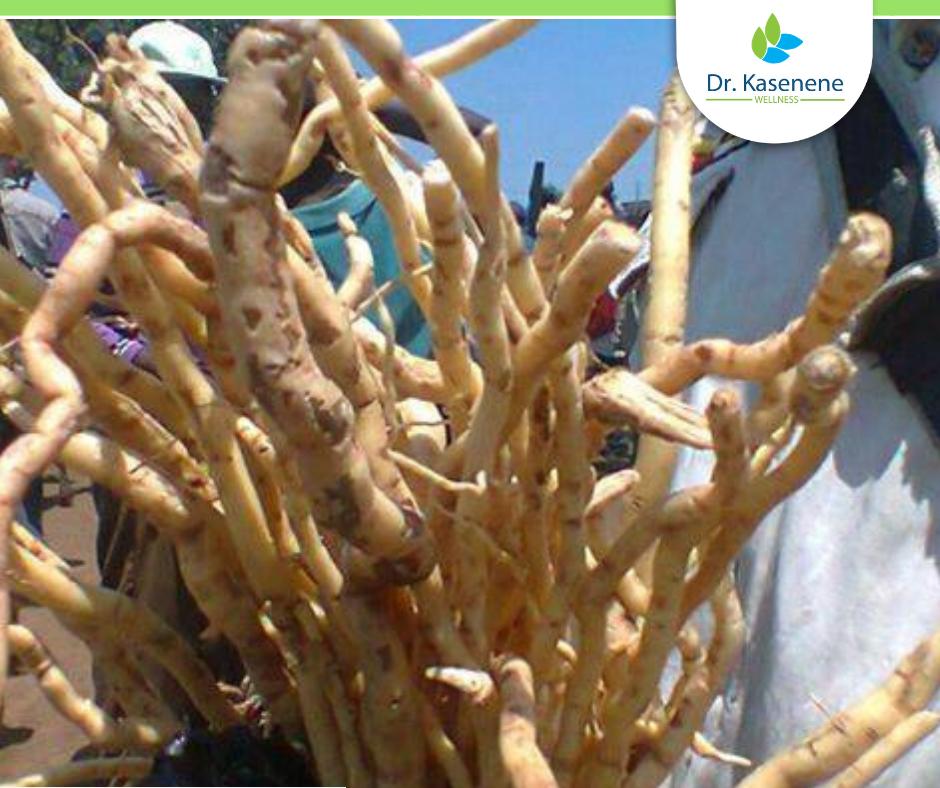 Dr Paul Kasenene on Twitter "Many people struggle with their libido