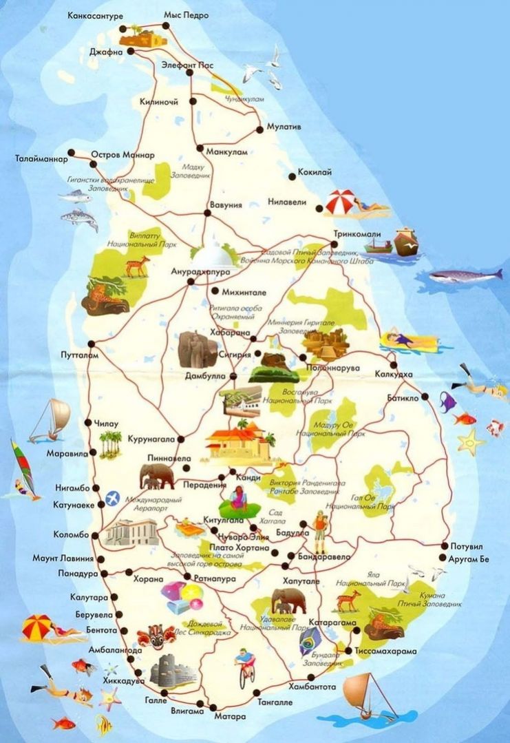 Если мы Вас убедили и Вы решили очередной отпуск провести на Шри-Ланке, информация про обмен денег Вам будет полезна. 

😙 💸Какие деньги брать на Шри-Ланку?
На Шри-Ланку берите  ланкийские рупии, немного долларов и банковскую карту. 

😉✈Менять ли де... mgp.pw/yatv2