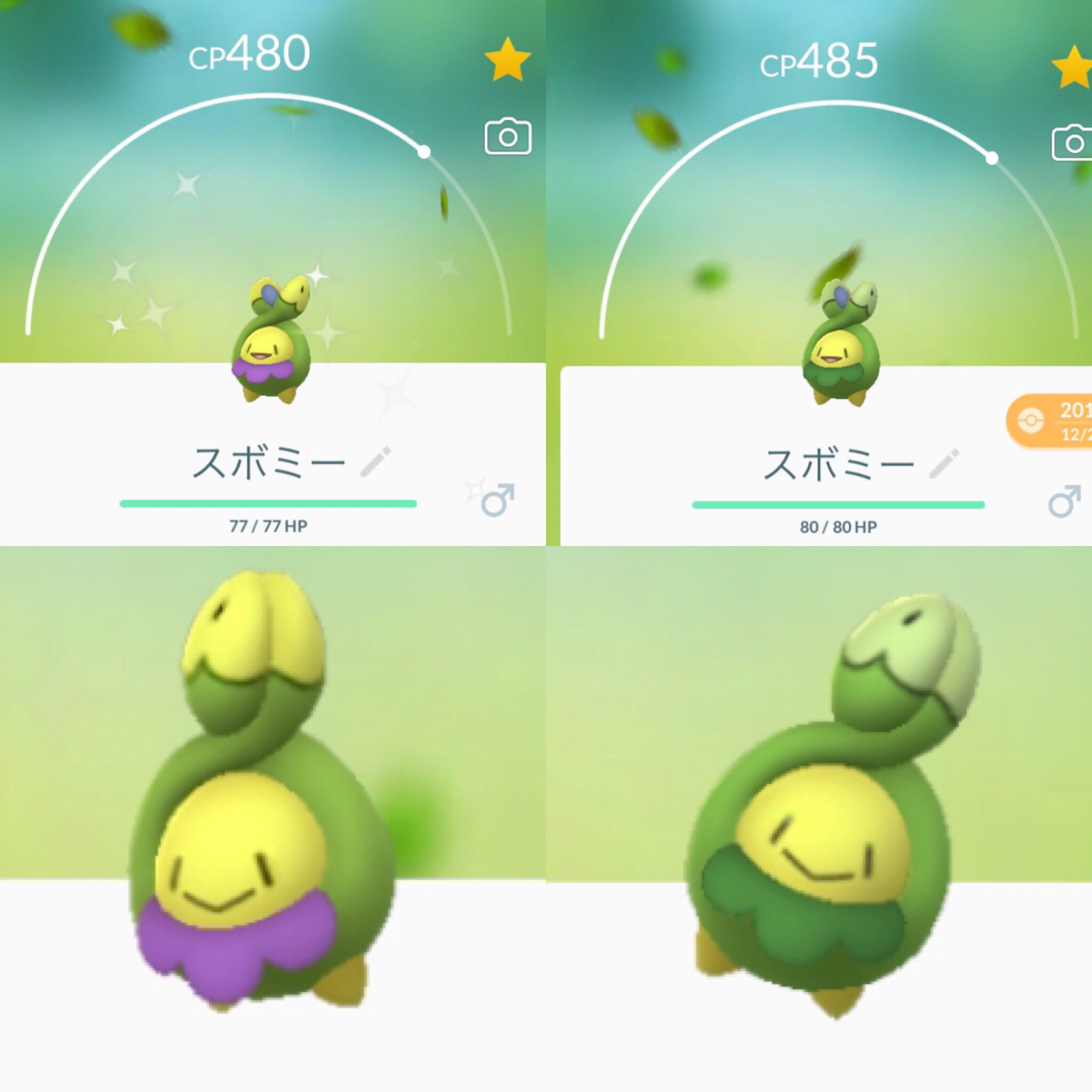 ট ইট র 23 Tomo Chan きゃぁ 色違いスボミー よだれかけの色が違うのね ポケモンgo イースターイベント 2kたまご スボミー 色違い T Co Mabsdhwjlz ট ইট র