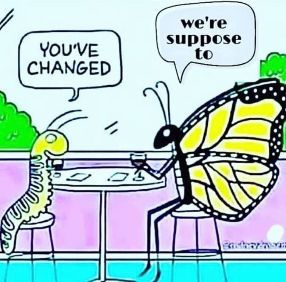 CharlieBigSmile's tweet photo. #bethechange #gosport #community https://t.co/gHFtua2Z0g