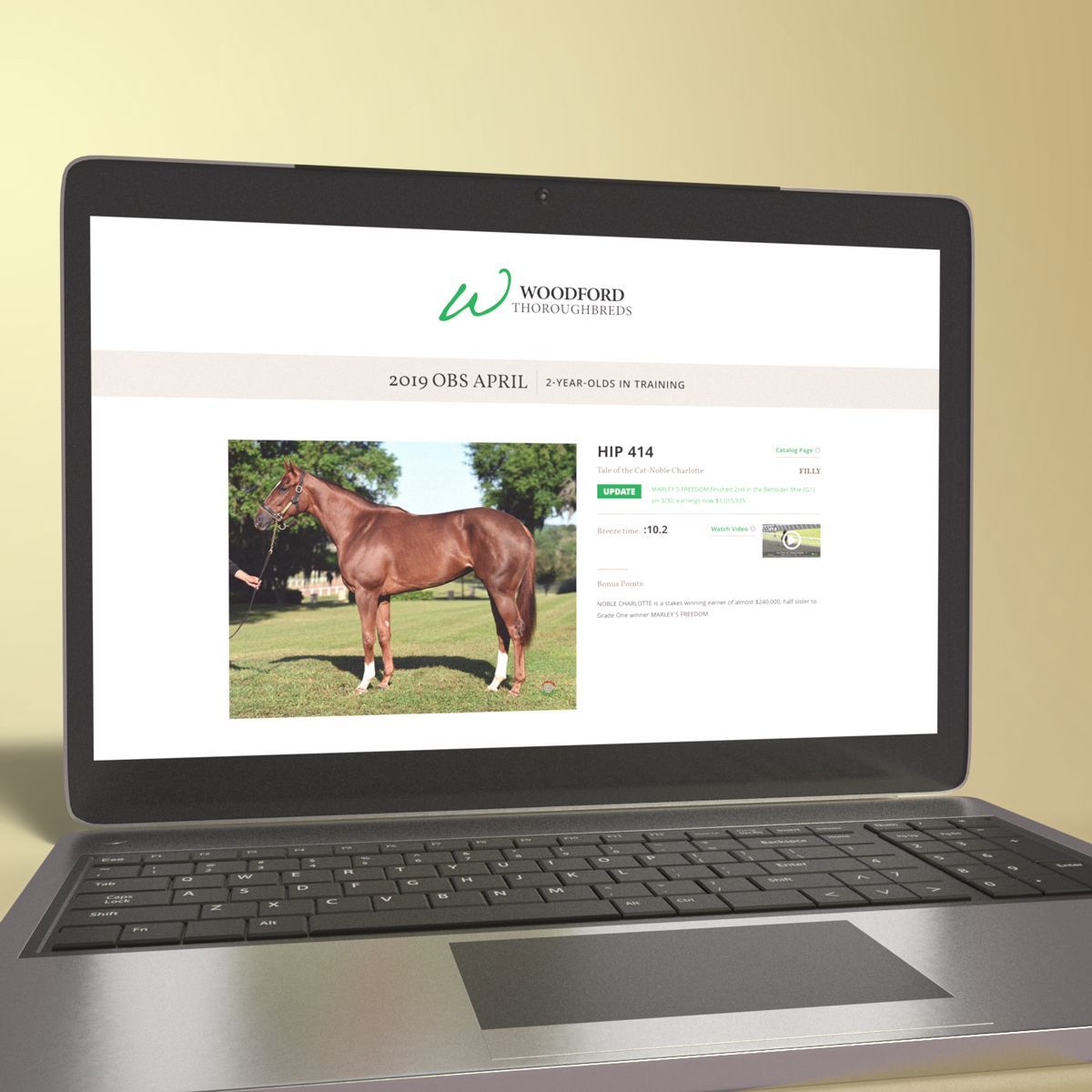 studio34pro's tweet photo. As the @obssales April sale rolls on, check out the #new online catalog for @woodfordtb  featuring breeze videos, updates and more! 
https://t.co/Wl5iuASItu

#Studio34 #Thoroughbred #marketing #advertising #WebDesign #Website /  #whywoodford #horseracing #2yoSale #April #OBS https://t.co/4zGu9WB59o