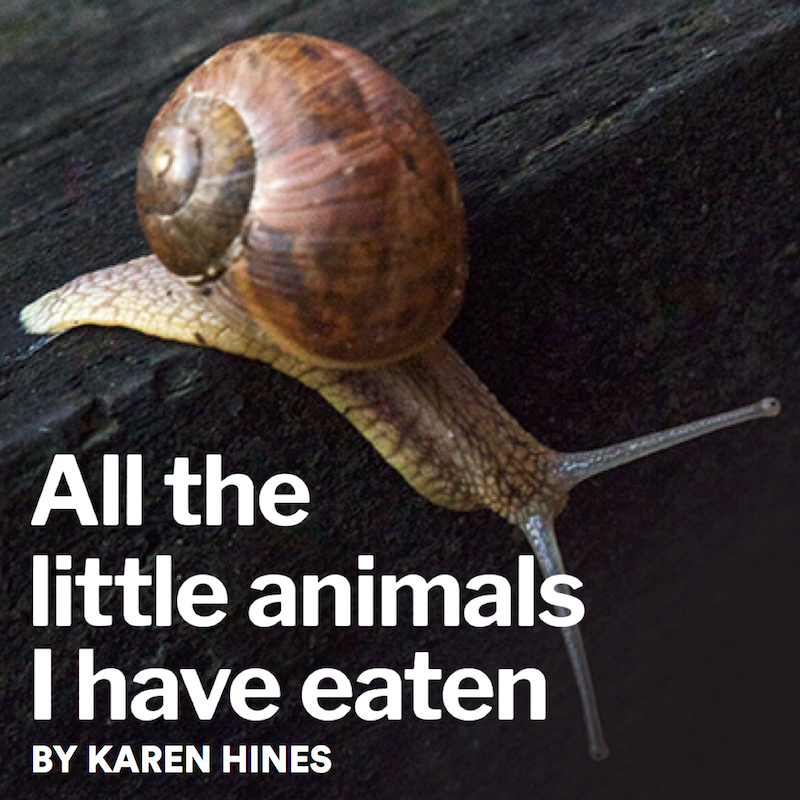 crowstheatre's tweet photo. .@nightwoodtheat is producing ALL THE LITTLE ANIMALS I HAVE EATEN by Karen Hines in association with Crow’s #theaTO https://t.co/XAj0cUEfxJ #crows1920 https://t.co/HtfbHlq0Tu