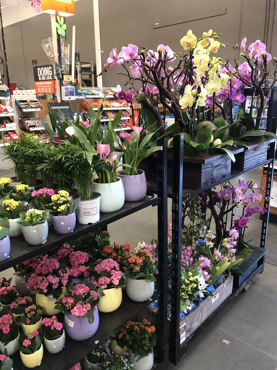 EncinitasHDstore0660 tweet media