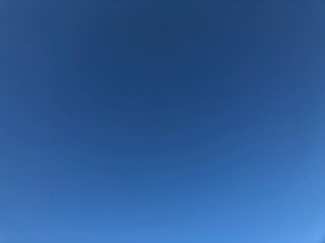 marlenebergman's tweet photo. Beautiful blue sky does not show all the pollen #thursday #april18 #spring #oxls #oxelรถsund #sweden #outdoors #bluesky #polllen #beauty https://t.co/Y61s2AJ3W2
