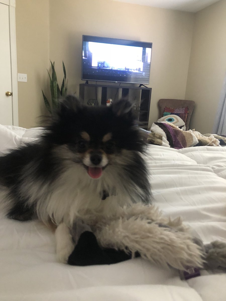 Guess who’s back..