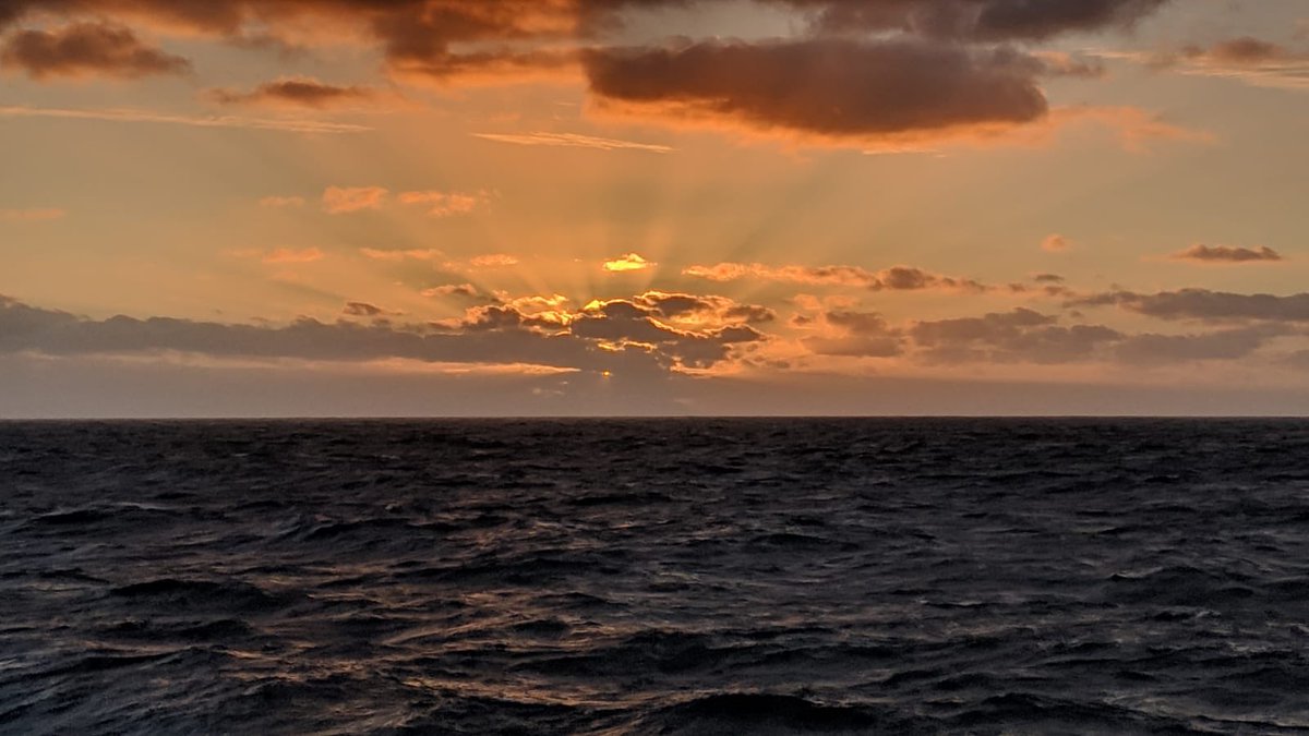 Koninklijke Marine tweet media