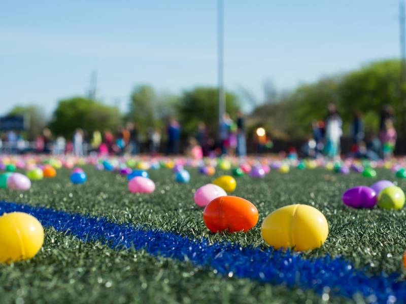 Arlington VA Patch tweet media