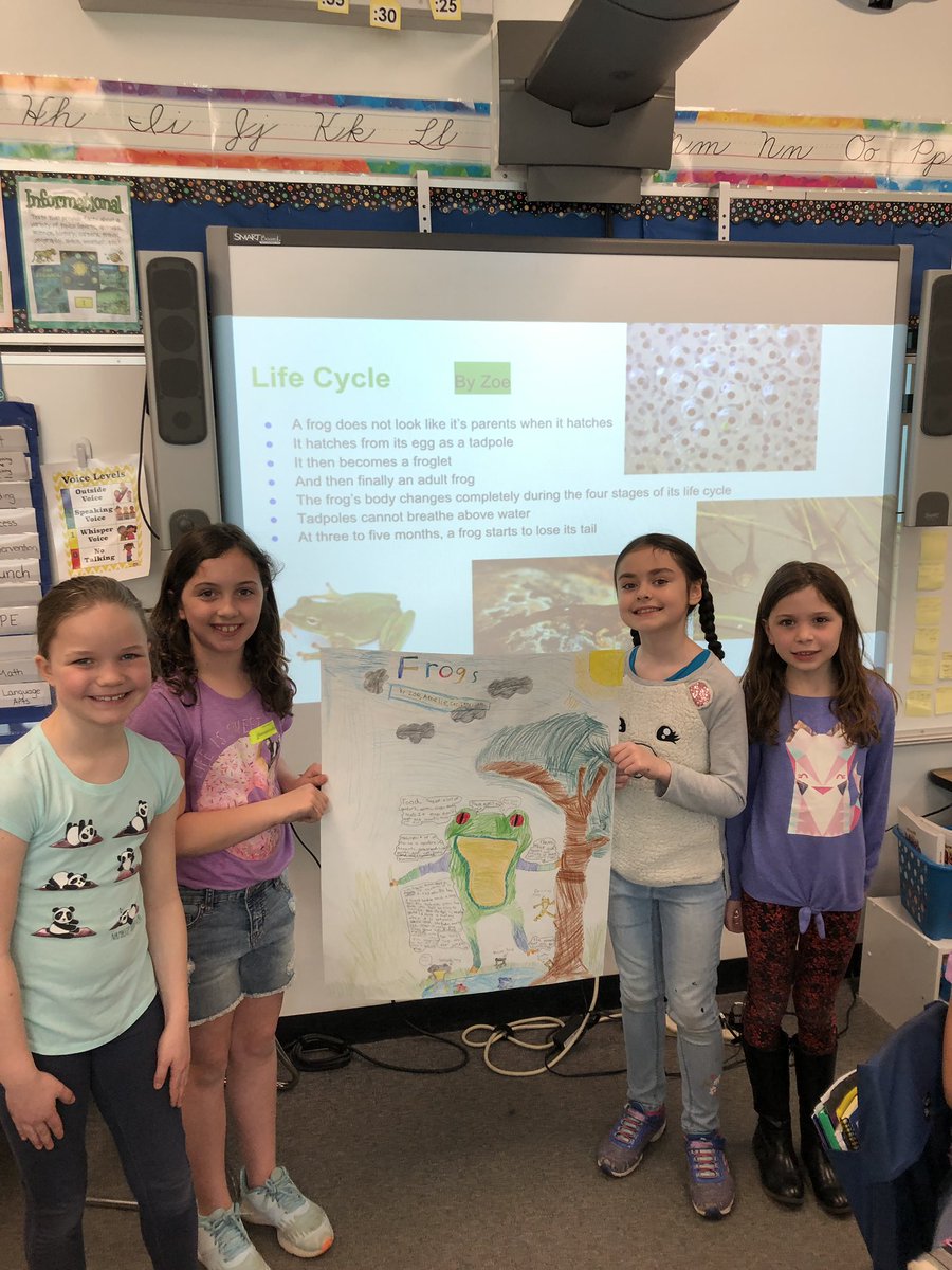 Classroom206's tweet photo. Experts sharing their animal research #EngageD64 #D64smiles #unitsofstudy #ResearchClubs https://t.co/tzIcJFs9TS