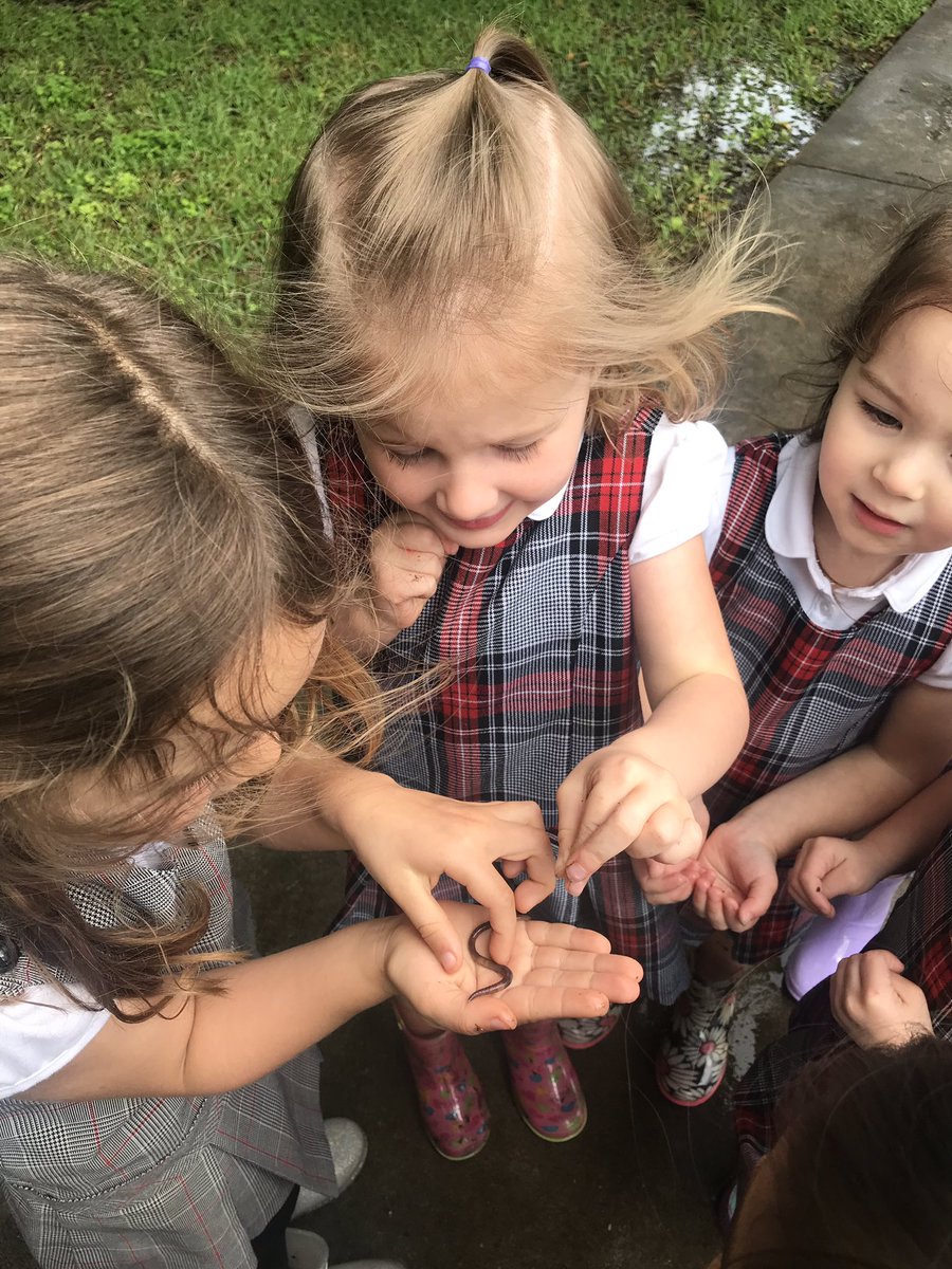smithhses's tweet photo. On rainy days we search for worms! @hsessaints #weareHSES18 https://t.co/Gqq47eK05J