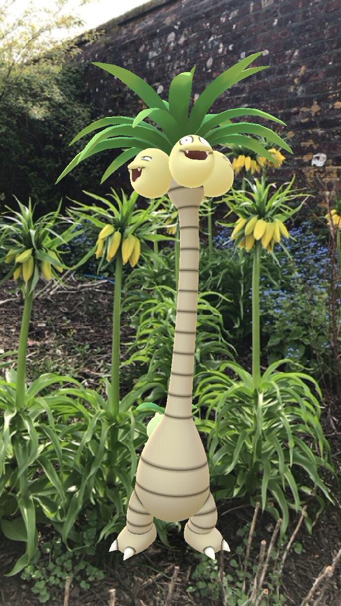 Webby_Lee's tweet photo. Exeggutor happy in natural habitat #GOsnapshot #HabitatChallenge https://t.co/Tigdq6aHPx
