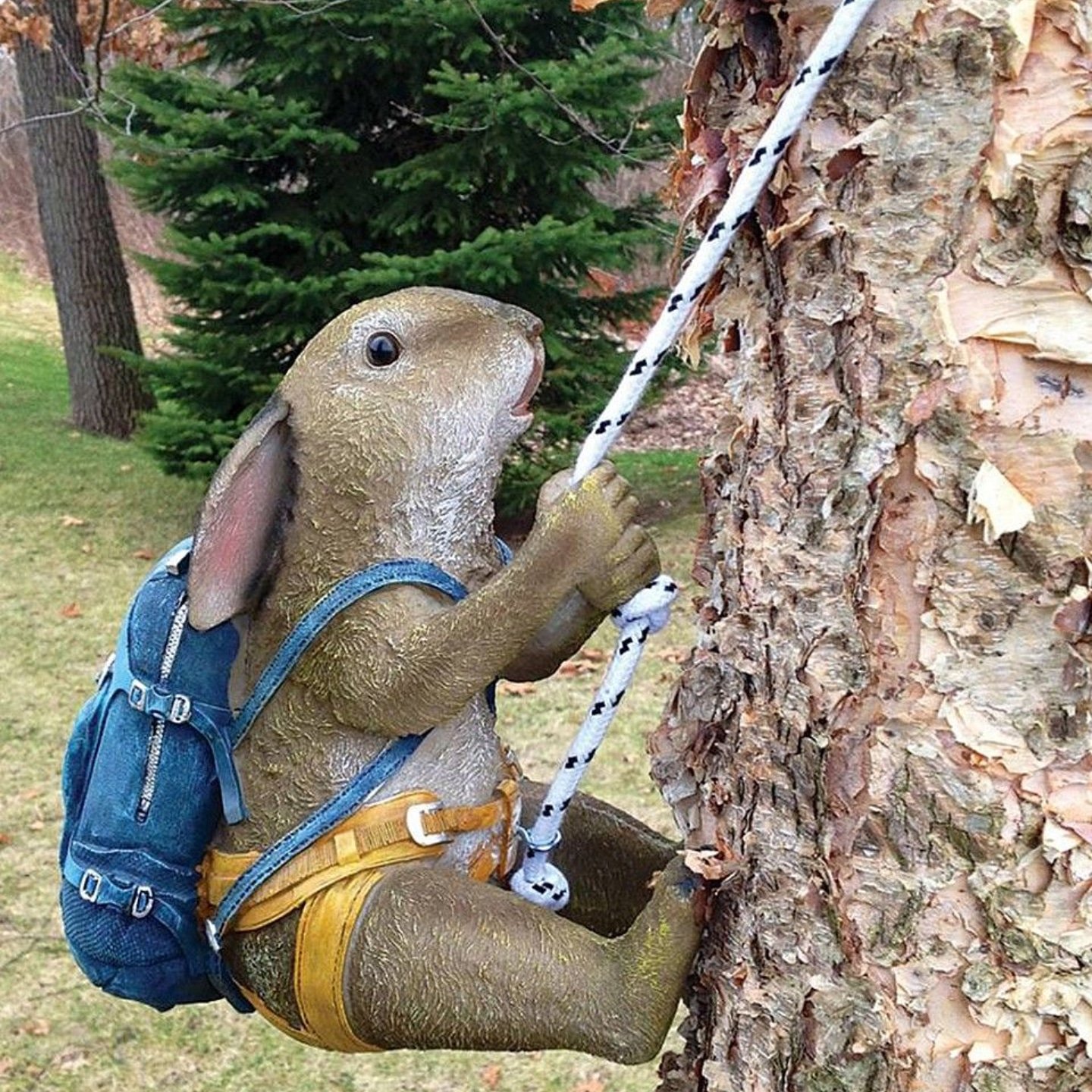 Cliffhanger Climbing ar Twitter: "For all you #climbing bunnies, we're open regular hours on Good Friday, all weekend, and Monday. Happy Easter, everyone! 🐰 https://t.co/Kmmn3d2nEZ" / Twitter