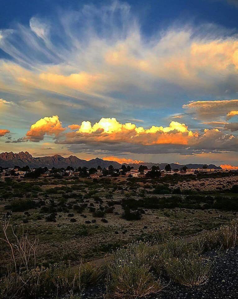 MattWikert's tweet image. 