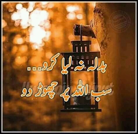 mudassardbs tweet picture