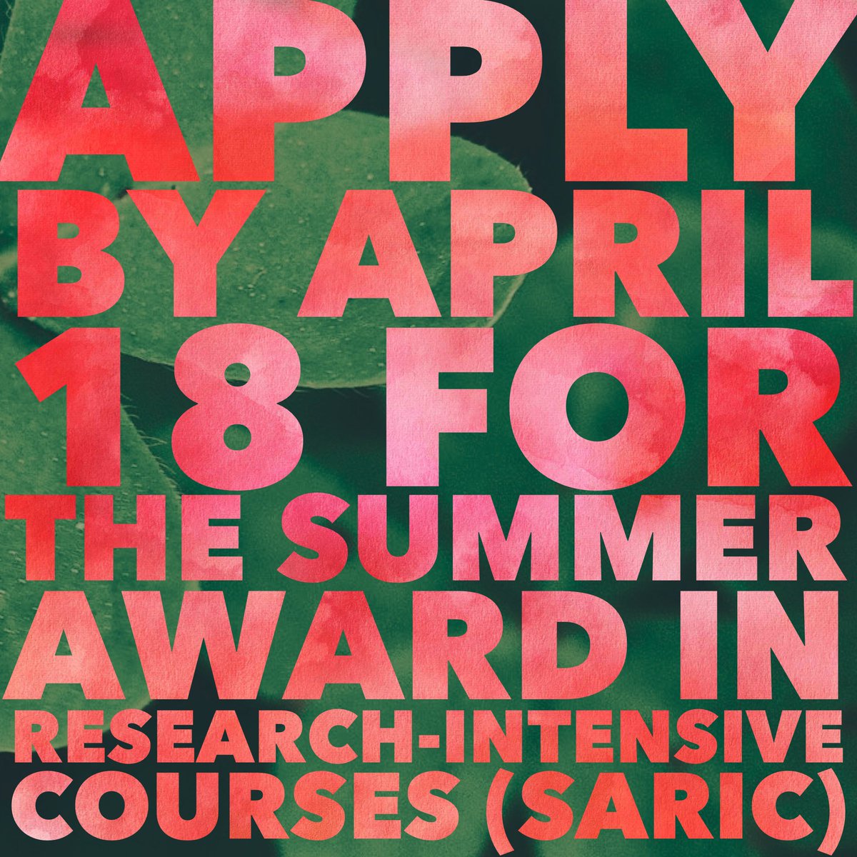 unc_our's tweet photo. Hi #UNC! The Summer Award for #Research  Intensive Courses is a tuition award for a wide range of Maymester  &amp; Summer Session I &amp; II courses. The application deadline is TODAY!! https://t.co/g5Z0jCdVoC https://t.co/1dnjKrba12