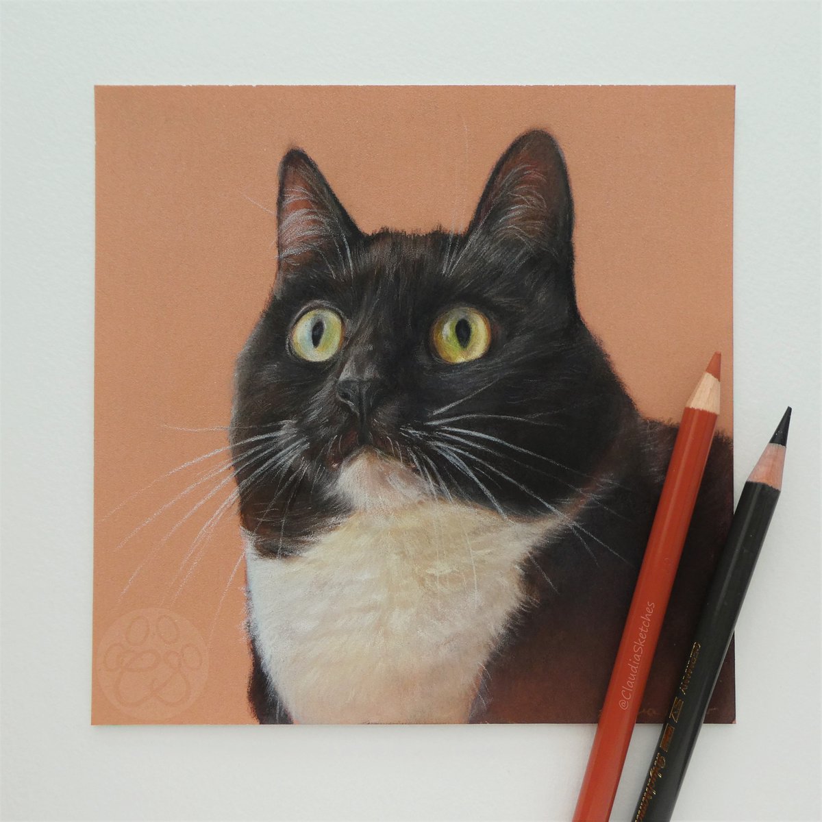 Claudia Cooper - Pet Portraits in Coloured Pencil (@claudiasketches) on Twitter photo Coloured pencil portrait of the wondrous <a href="/CuriousZelda/">Curious Zelda</a>!
I've been itching to draw her for a while now- she's such a character and never fails to brighten my day! Coloured pencil portrait of the wondrous <a href="/CuriousZelda/">Curious Zelda</a>!
I've been itching to draw her for a while now- she's such a character and never fails to brighten my day!