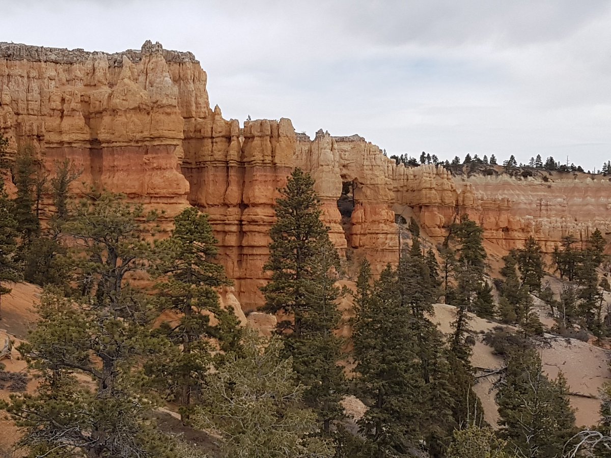 camundson1's tweet photo. Explored the #BryceAmphitheatre hoodoos and sat amazed at the incredible view in front with the different layers and colours clearly visible in the sunshine. The hoodoo rock formations standing stall and patient as if formed by magic. https://t.co/kjIYBnbTTc