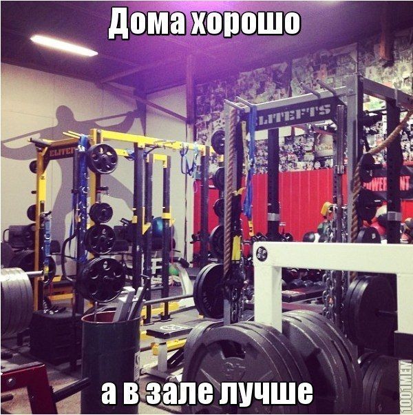Открытки любви, картинки с надписями про спортзал