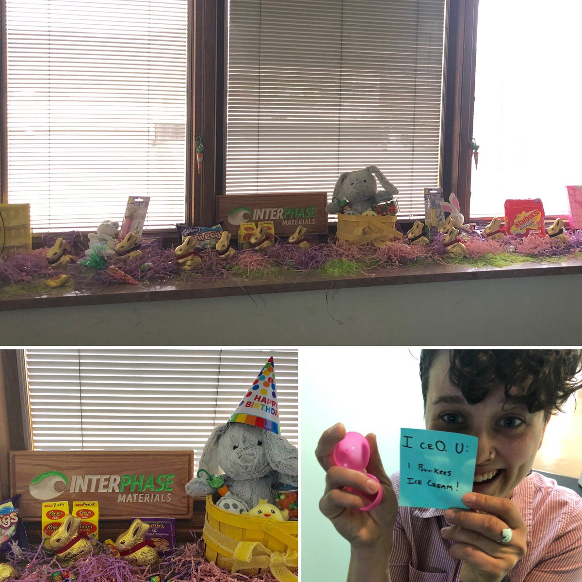 Lil bun when all out this year. Happy B-day to out fuzziest employee.