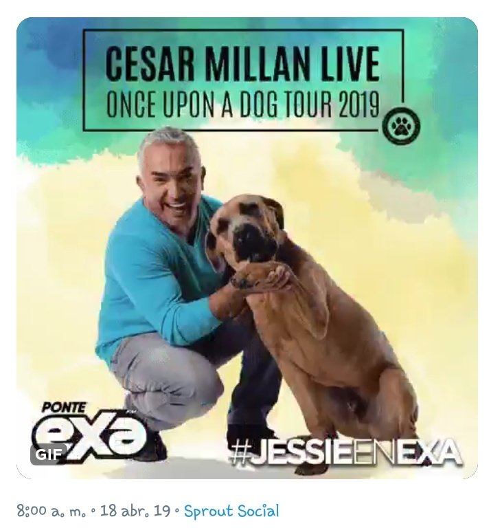 <a href="/AngieCastle7/">Angie Castillo</a> <a href="/ExaFM/">Exa FM</a> <a href="/cesarmillan/">Cesar Millan</a> Regalanos boletos <a href="/ExaFM/">Exa FM</a> plis #JessieEnExa
(Va de nuevo 😁)