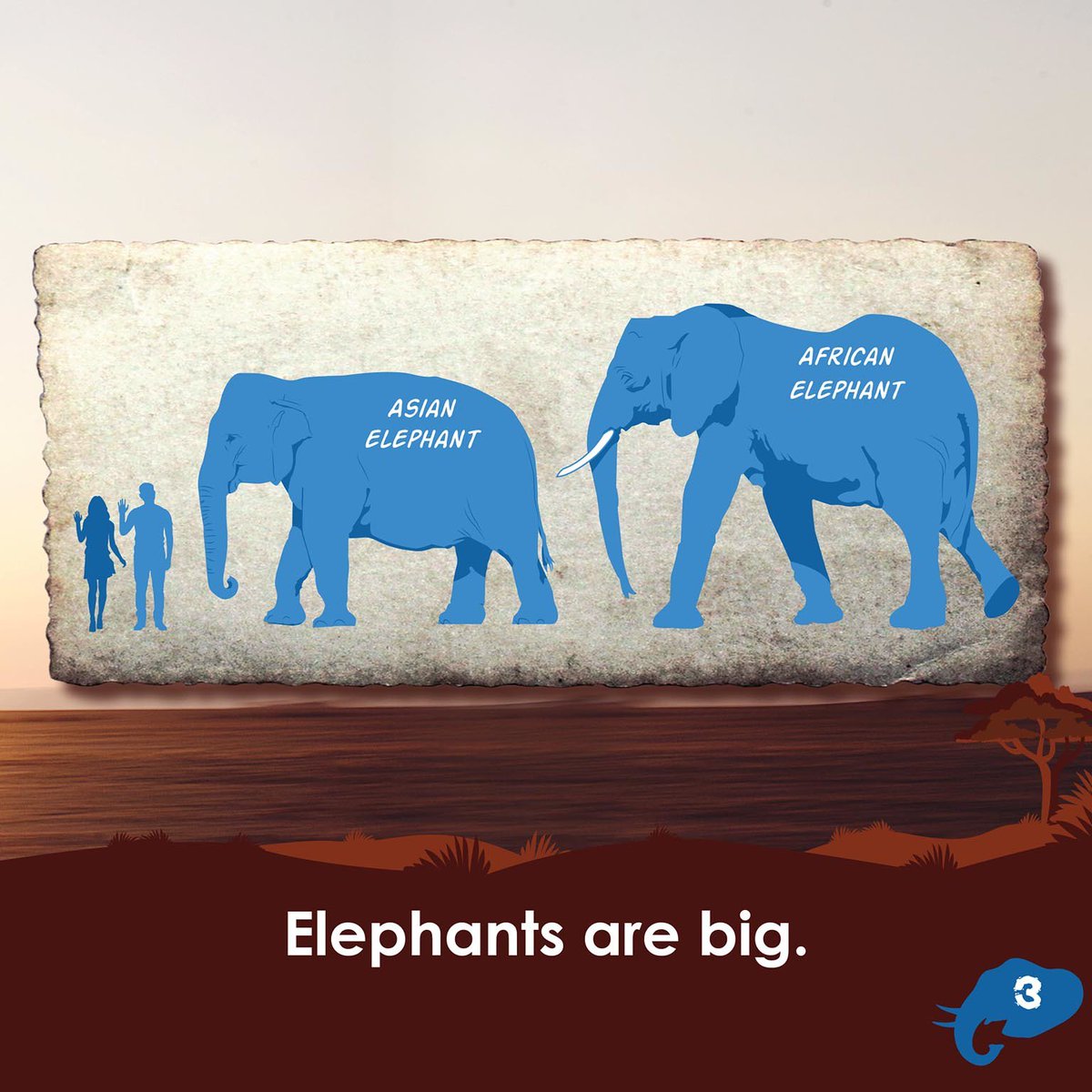 ARC Press tweet media