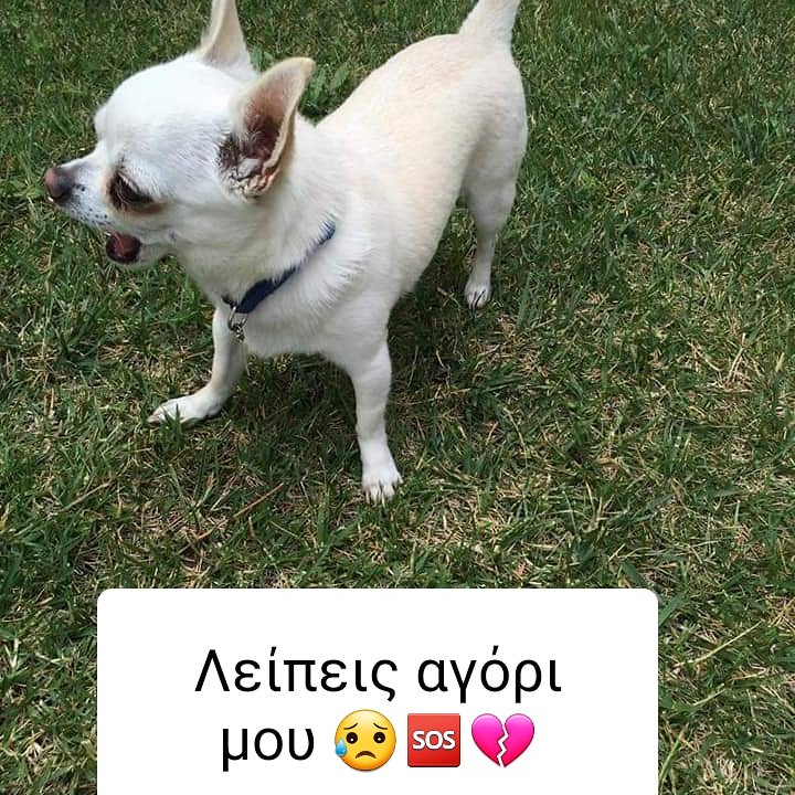FindBacci tweet picture