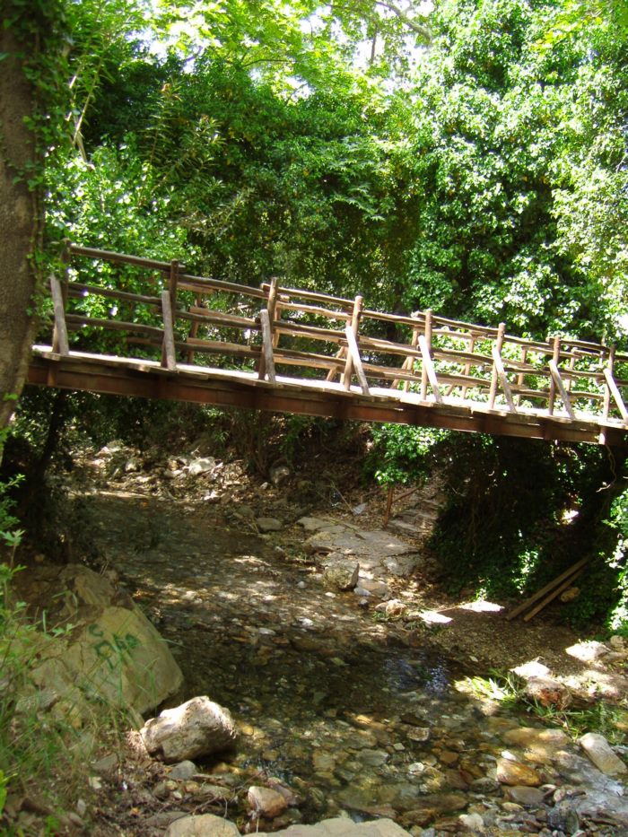 MBerberi's tweet photo. @75yusuf76 Sağ olun Yusuf Bey sana da  #Günaydın ve mutlu günler.
 #Fodele #Crete #Greece https://t.co/HgfoPU5Hvq