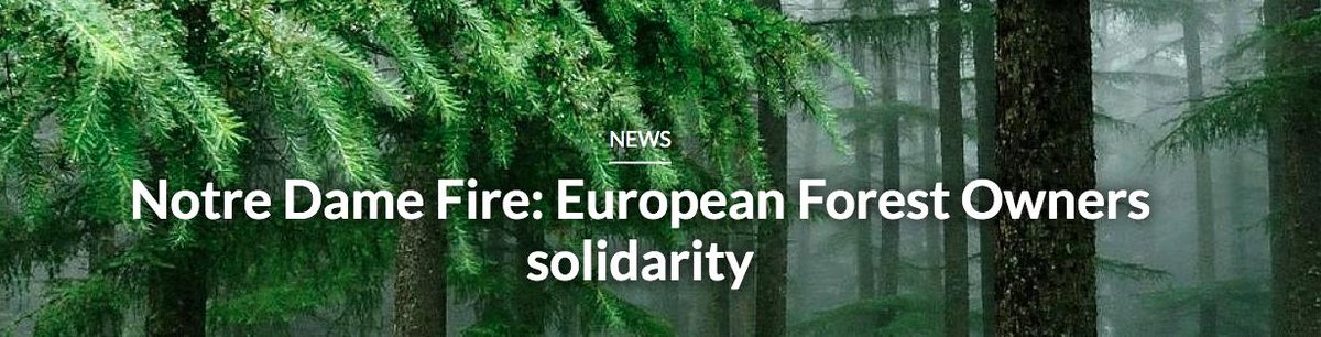 Merci au <a href="/CEPFSecretariat/">EuropeanForestOwners</a> pour le soutien européen qu'ils apportent à cette grand mobilisation "offrons un chêne pour la restauration de Notre Dame de Paris"
cepf-eu.org/news/notre-dam…