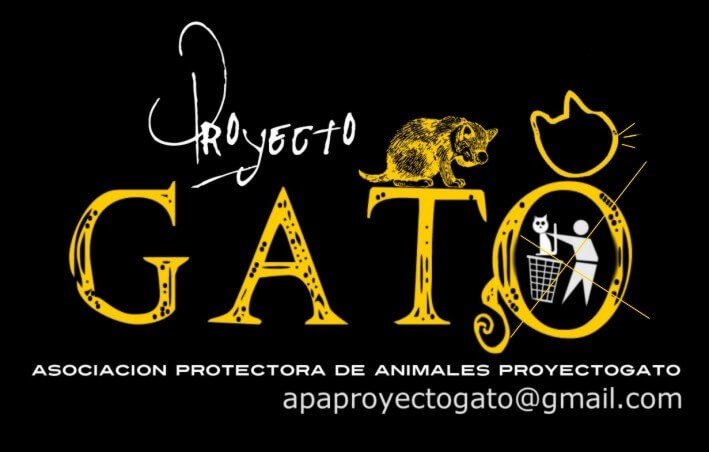 Hoy os presentamos a @proyectogatovigo, un refugio compuesto por una familia de 350 gatos. Las formas de ayudar que proponen son por medio de:
1 Casas de acogida
2 Voluntariado
3 Socio/a
4 Padrino/madrina
5 Empresas solidarias.