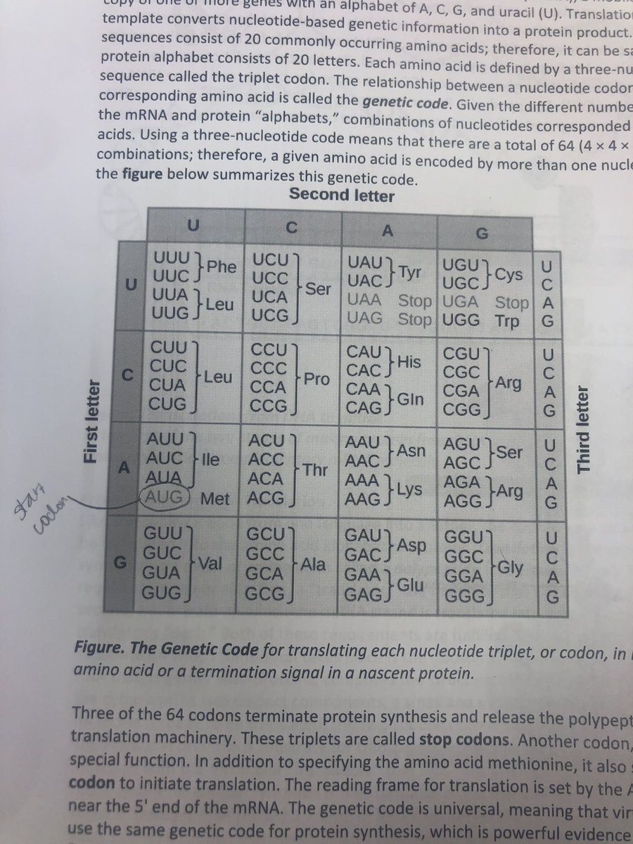 MittmanNicole's tweet photo. #105week14nhs19 @HobbsLabUNK told us today during lab that no one has this table memorized, but I’d be willing to bet that @UNKBiol106 knows these by heart by now https://t.co/7ebz8AKfAZ