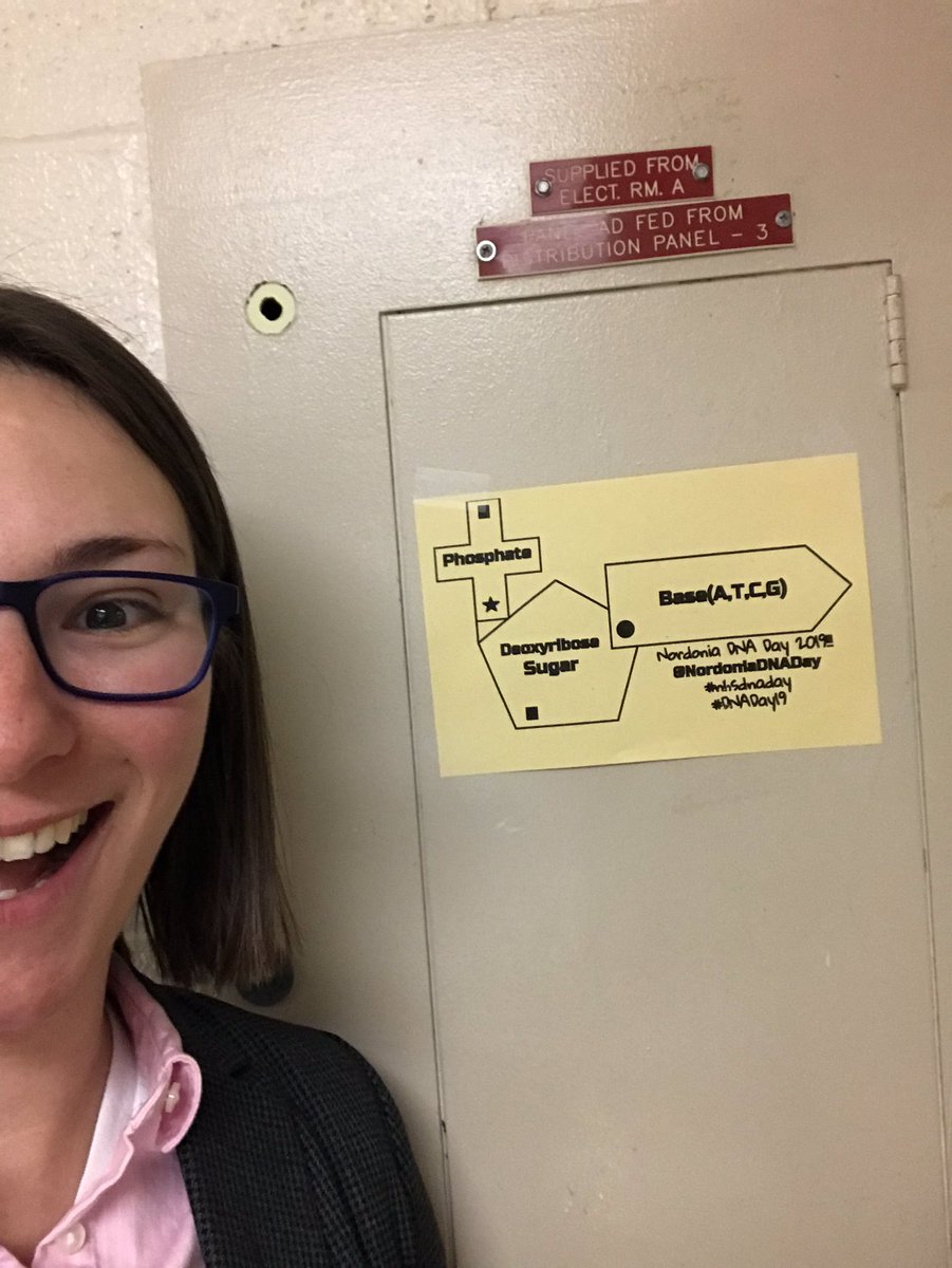 RosyFFriday's tweet photo. Annual @NHSDNADay nucleotide hunt! #dnaday https://t.co/Jkg9Q95ZyC