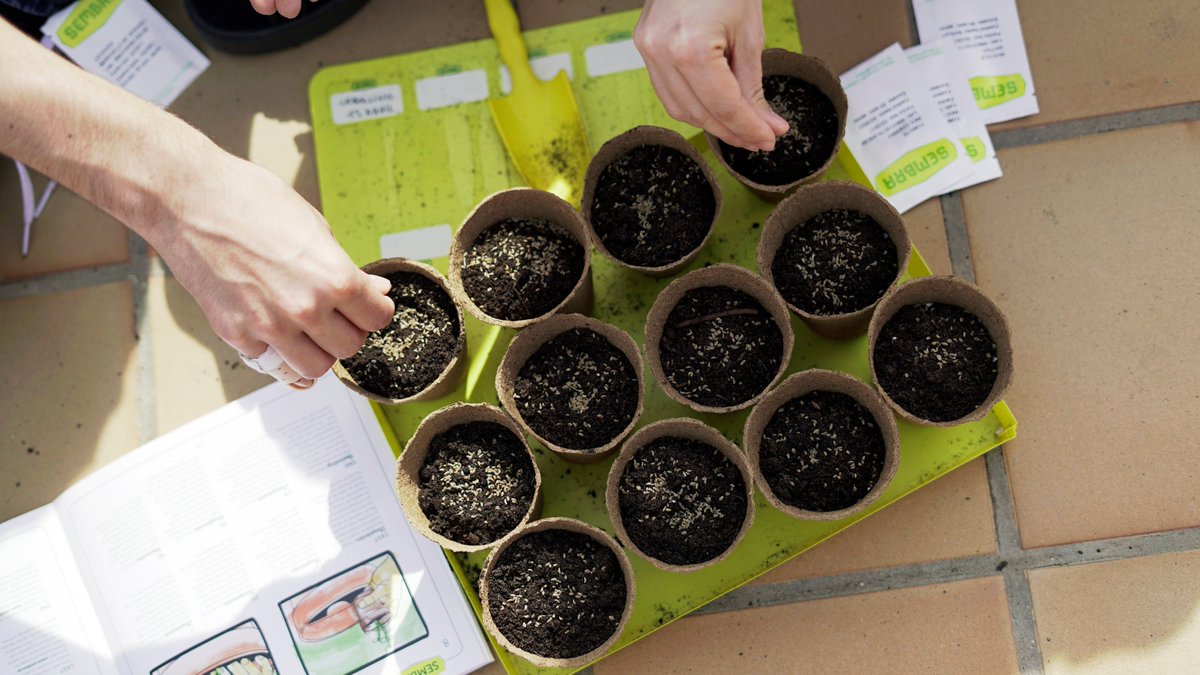 tradgardengames's tweet photo. 🐇This #Easter, give #gardening a go with our Sembra 'sow and grow your own' kits. Over 20 kits for both children and adults to choose from -  PLUS everything's in the box, just add water and a little L❤️VE!
See the range ⤵️
https://t.co/vIp7IkOTGk

#growyourown #getoutside https://t.co/4TQhEYR5hs