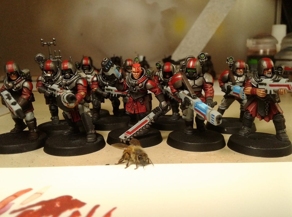MangoPunchMunch's tweet photo. #tbt to when a dying bee made his way into my apartment, so I made him an honourary member of my Kill Team and let him hang out at the painting table. RIP Commissar Beebro. #paintingwarhammer #warmongers #killteam #beebro https://t.co/xfidy4sirC