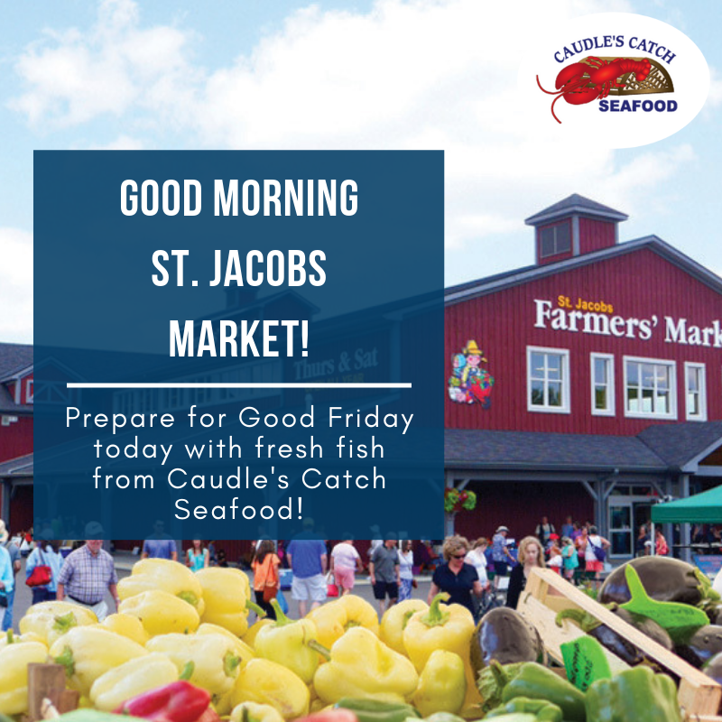 Caudle's Catch tweet media