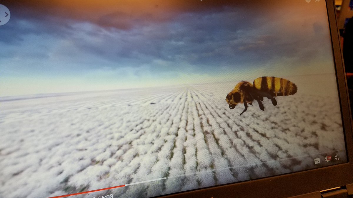 JulieHaneyEDU's tweet photo. Introducing VR and 360 videos to students @SpicewoodPYP for @ibpyp #pypx Exhibition #rrisdtech #SWESinnovates to experience the importance of bees and the effect of plastic pollution https://t.co/TAJLLG2yo1